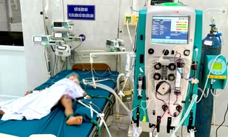 Một trẻ tử vong, hai trẻ cấp cứu vì ong vò vẽ đốt khi đang chơi trong sân