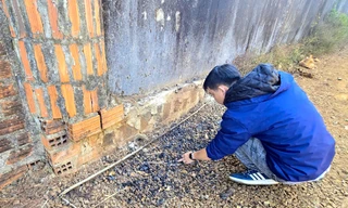 Vụ cướp ngân hàng ở Gia Lai: Phát hiện thêm dấu vết đốt quần áo, trang bị để phi tang