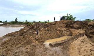 Đào tan hoang bờ sông ở Gia Lai để khai thác thân gỗ khủng