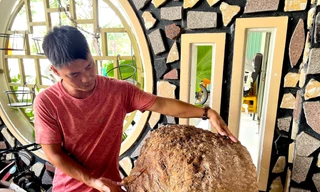 Chiêm ngưỡng khối gỗ nu hoá đá đặc biệt dưới chân núi lửa Chư A Thai