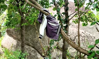 Lấy mẫu xương, quần áo để truy tìm tung tích nạn nhân vụ phát hiện bộ xương dưới gốc cây