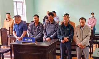 Tổ trưởng công ty lâm nghiệp nhận tiền để cho lâm tặc vào phá rừng