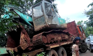 Xe tải mất phanh, tông chết 18 con bò, tài xế phải đền hơn 300 triệu đồng