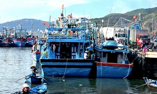 Tàu cá Gia Lai có 8 người bị mất liên lạc ngoài khơi; Cứu hộ tàu cá bị chìm ở Huế