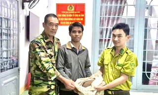 Trưởng thôn huy động người dân ra bắt cá thể tê tê đi 'lạc'