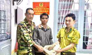 Trưởng thôn huy động người dân ra bắt cá thể tê tê đi 'lạc'