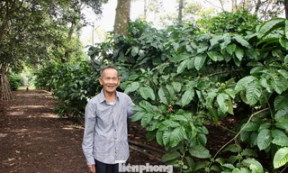 Vươn lên từ tay trắng, hướng dẫn bà con cách làm giàu