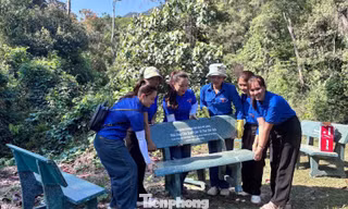 Góc xanh thanh niên - Dừng chân giữa đại ngàn 