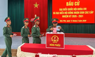 Lá phiếu đầu đời của những tân binh 