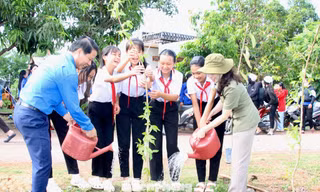 Tuổi trẻ Đắk Lắk bảo vệ môi trường, chuyển giao khoa học kỹ thuật