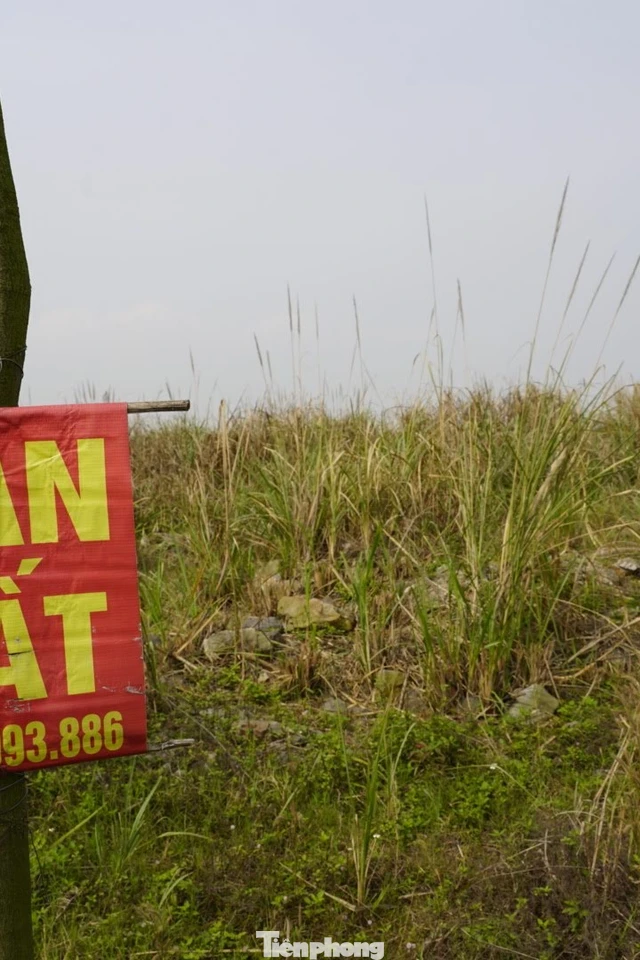 Dự án mắc kẹt hơn 20 năm, nhiều lô đất trùng 