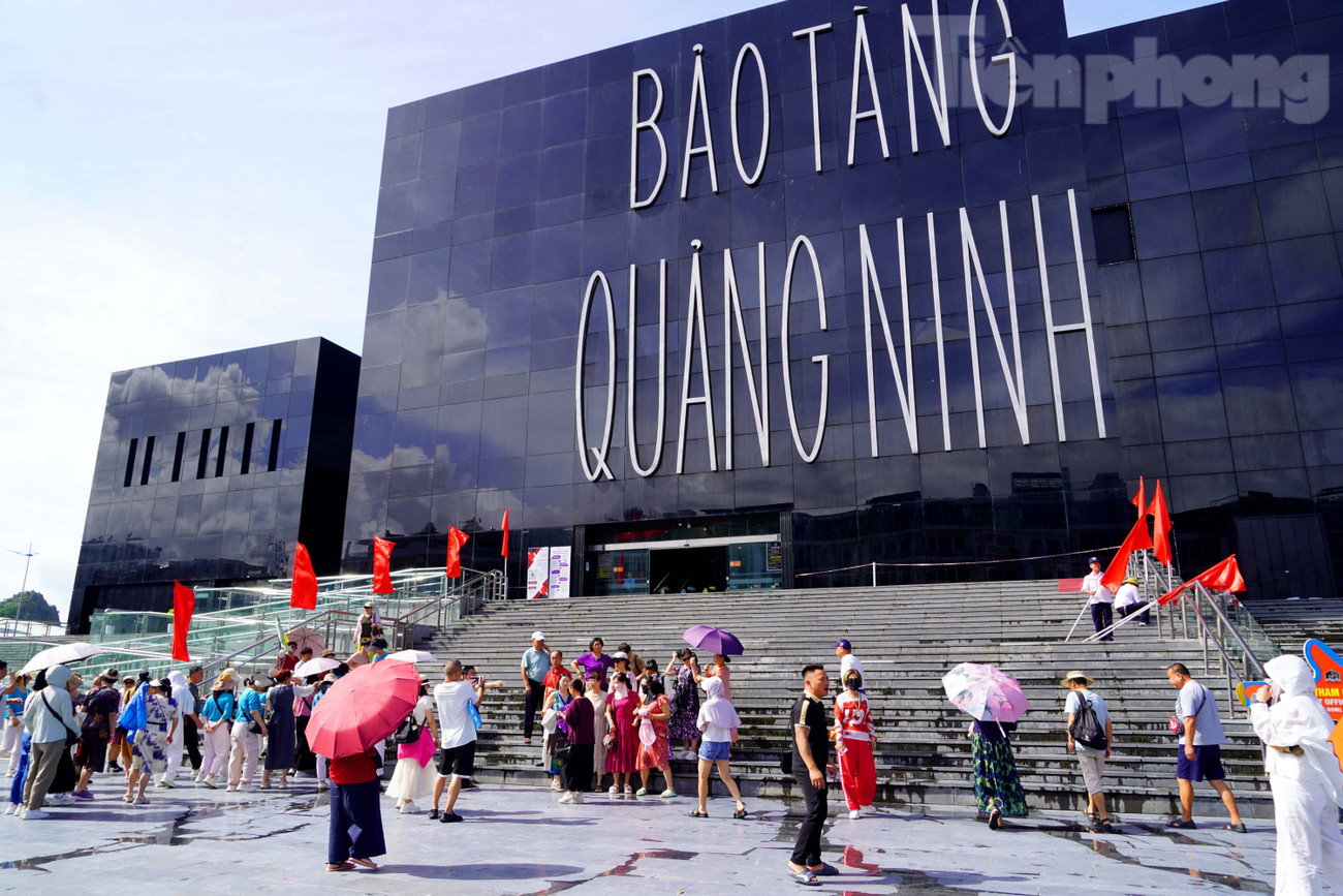 anh01284-9828.jpg