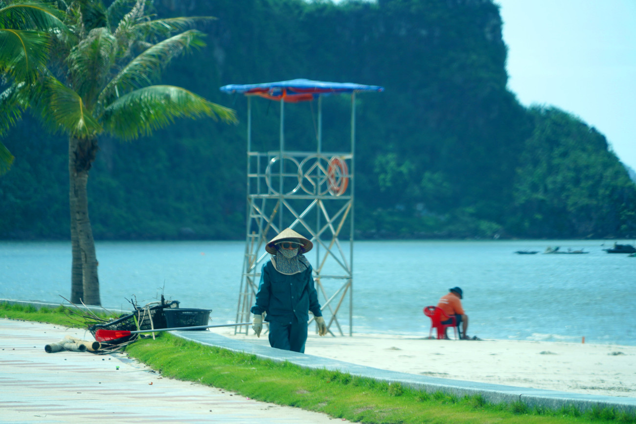 anh01308.jpg