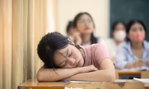Tại sao có những sinh viên chọn cách sống như ‘bóng ma’ trong các trường đại học?