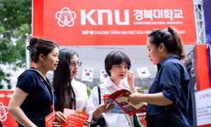 Chương trình Cử nhân quốc tế, Đại học Quốc gia Kyungpook tại Việt Nam: Bốn bước chọn ngành 'trúng đích' cho Gen Z