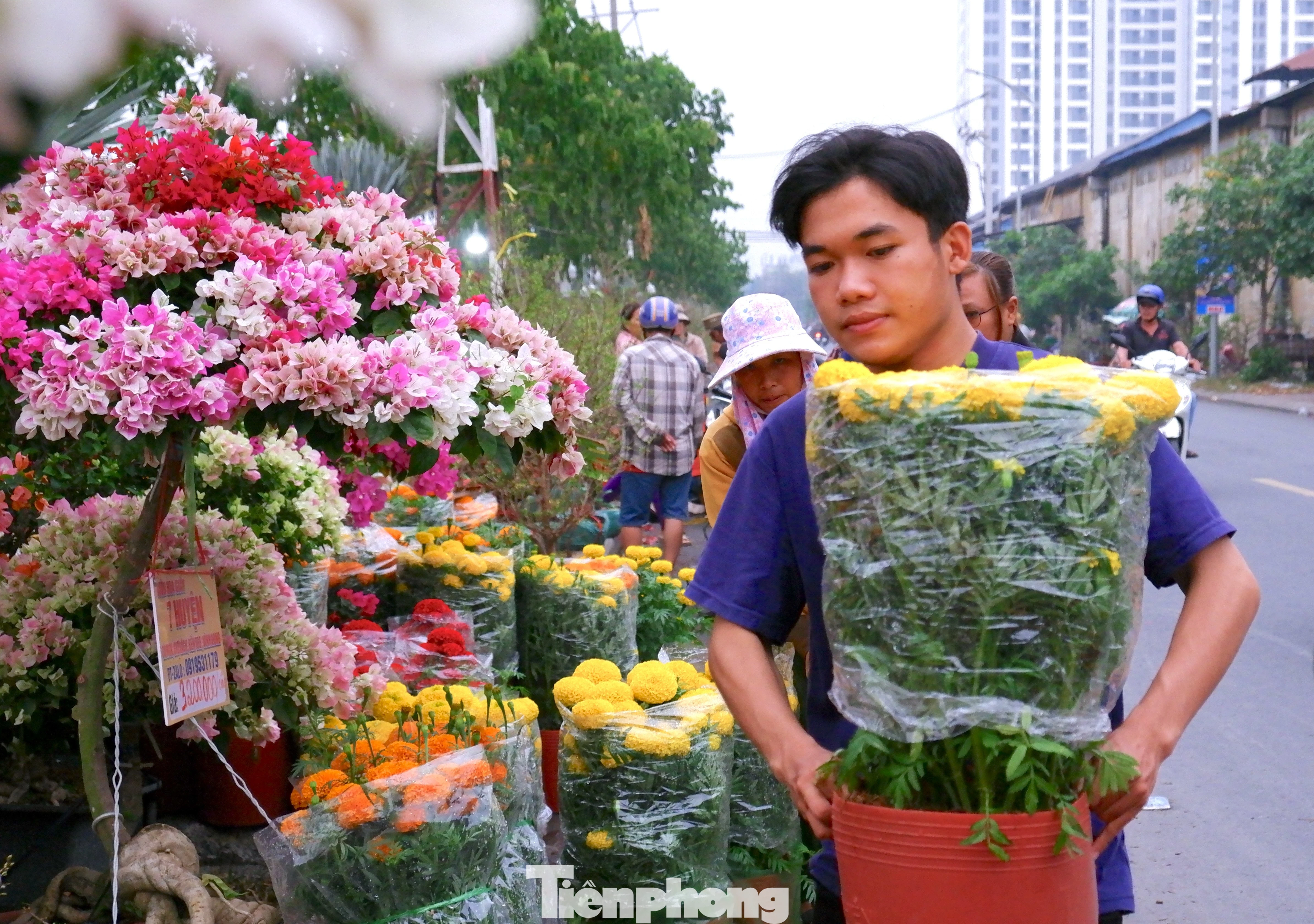 Cảnh tượng nhộn nhịp tại chợ hoa Tết Bình Đông, TPHCM: 'Trên bến dưới thuyền' rực rỡ sắc xuân