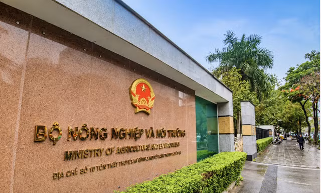 Nhiều cơ sở nhà đất thuộc Bộ NN&MT bị bỏ trống, lấn chiếm