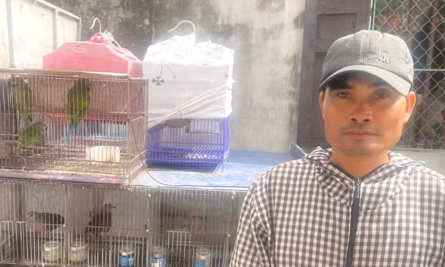 Khởi tố người đàn ông mua bán 36 con chim hoang dã ở Ninh Bình