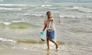 Ốc ruốc vào mùa, ngư dân Đà Nẵng tất bật mưu sinh từ tờ mờ sáng