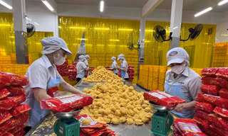 TPHCM: Doanh nghiệp điều chỉnh sản xuất, thích ứng trước biến động giá xăng dầu