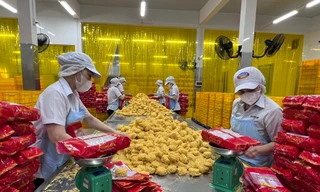 TPHCM: Doanh nghiệp điều chỉnh kế hoạch sản xuất, thích ứng với biến động giá xăng dầu