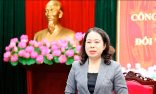 Bộ Chính trị triển khai kiểm tra, giám sát đối với Ban Thường vụ Tỉnh ủy Sơn La