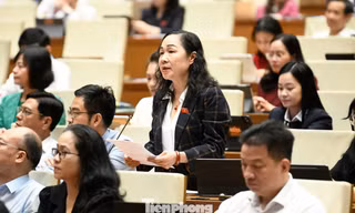 Đại biểu Quốc hội khẩn thiết đề nghị xem lại việc sáp nhập các đơn vị nghệ thuật truyền thống