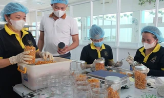 Thanh niên đối mặt rủi ro việc làm từ làn sóng trí tuệ nhân tạo