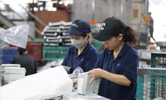 Doanh nghiệp hiến kế vào chuỗi cung ứng toàn cầu