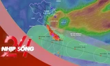 NHỊP SỐNG 24: Bão số 13 sẽ đổ bộ khu vực nào trên đất liền nước ta?