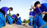 Bạn trẻ Đà Nẵng, Cần Thơ ra quân vệ sinh môi trường 