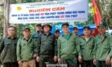 Đà Nẵng lập chốt chặn, ngăn phá rừng để thu hoạch quả ươi