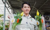Người dân Đà Nẵng bị hoa tulip xứ lạnh mê hoặc 