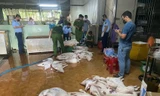 Công an Quảng Ngãi siết chặt các lò mổ, ngăn lợn bệnh tuồn ra chợ trong dịp Tết