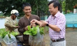 Một đại hội Đảng bộ xã không nhận hoa, chỉ nhận cây giống, phân bón