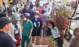 Đà Nẵng: Hoa Tết đắt hàng trên 'chợ mạng'