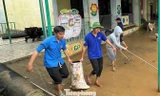 Hơn 1.500 tình nguyện viên 'tiếp sức' người dân Đà Nẵng sau lũ