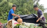 Nhóm bạn trẻ vượt núi chở nông sản vùng cao về phố, khách liên tục 'chốt đơn'