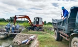 Tin mới vụ xác heo chết được vứt đầy kênh mương ở Gia Lai