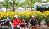 Hoa Tết chất ngập phố, tiểu thương 'đứng ngồi không yên' 