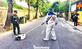 Phát hiện 3 vị trí nghi ngờ qua radar tìm mộ liệt sĩ trong Kinh thành Huế