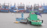 Bão số 5 liên tục tăng cấp, Đà Nẵng ra công điện khẩn sẵn sàng ứng phó