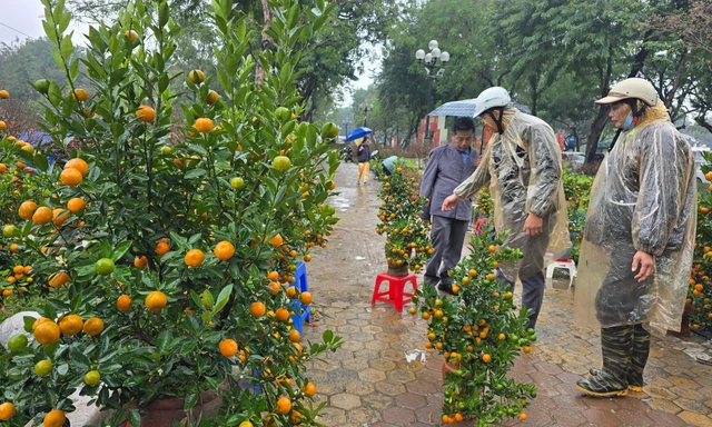 Cận Tết, phố bớt cây cảnh tràn đường, chợ hoa Hà Nội vẫn vắng khách