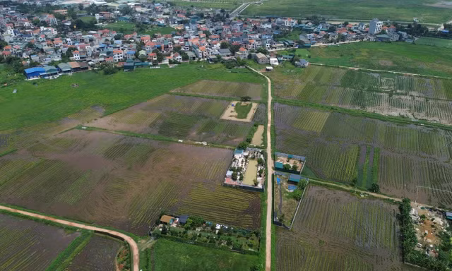 Hà Nội: 169 khu đất không đủ điều kiện thí điểm nhà ở thương mại thông qua thỏa thuận
