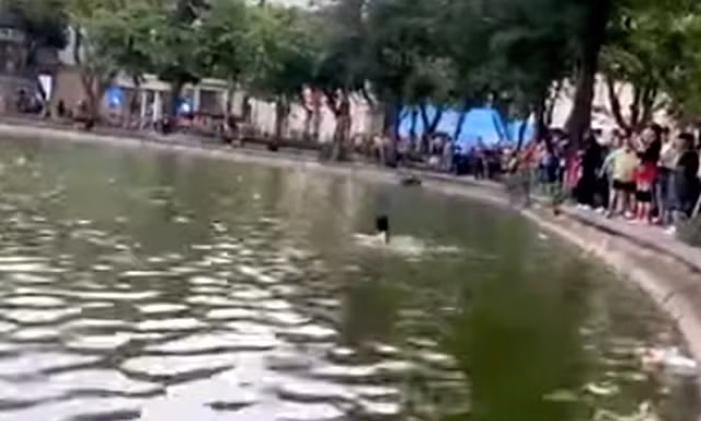 Thông tin chính thức về vụ người phụ nữ tử vong tại hồ Gươm