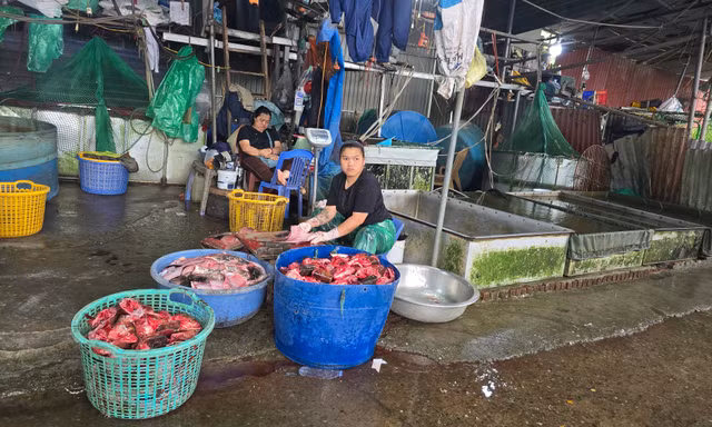 Hà Nội: Chợ cá Yên Sở trước ngày giải tỏa