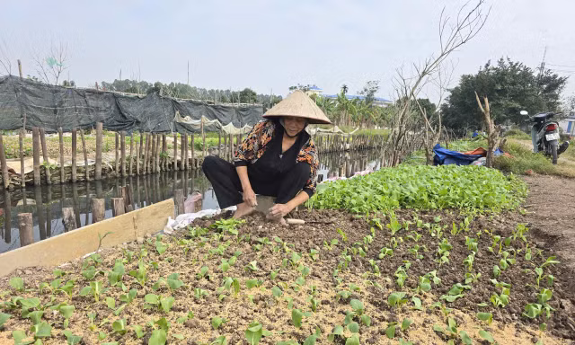 Hà Nội triển khai 2 siêu dự án gần 1,8 triệu tỷ đồng: Cần đảm bảo quyền lợi người dân bị thu hồi đất
