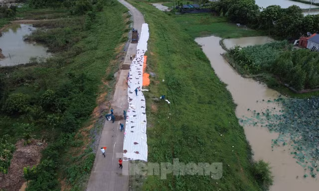 Hà Nội mưa rất to, thành phố gấp rút rà soát đê điều, gia cố những vị trí xung yếu