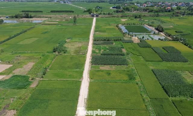 Hà Nội: Cử tri kiến nghị 'nới' quy định về tách thửa 