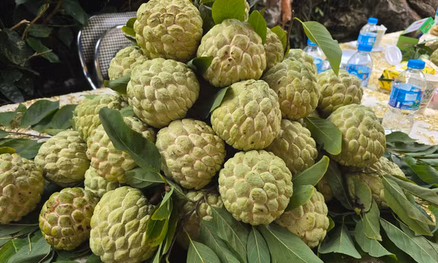 Na '3 sao' Thái Nguyên 